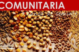 ”Comunitaria – grădina comunitară” deschide ”Piaţa de seminţe libere” la Liceul Agricol