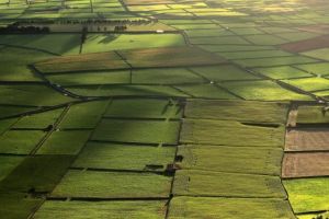 MADR încurajează înfiinţarea şi dezvoltarea formelor asociative în agricultură