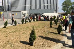 Protejează natura! Activează factura electronică şi noi vom planta un copac pentru tine!