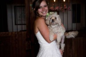 O britanică a luat decizia VIEȚII sale! Sătulă de minciunile bărbaţilor, s-a căsătorit cu PROPRIUL CÂINE. Ce a urmat este HALUCINANT