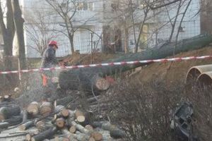 Victorie de etapa impotriva unor betoane ridicate pe bulevardul Alexandru Lapusneanu:  Tribunalul Constanta a dispus suspendarea autorizatiei de construire emise de Primarie in favoarea investitorului Cambela Prod