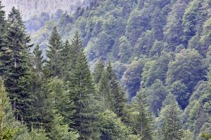 METEO. De la o extremă la alta. Maxime de 19 grade în zilele următoare