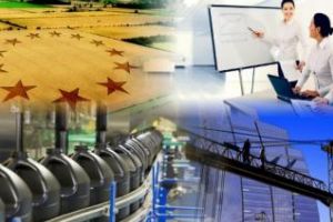 Investiţie iniţială în cadrul societăţii Bonida Import Export prin extinderea capacităţii de producţie