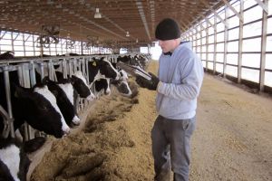 SPRIJIN FERMIERILOR DIN SECTORUL ZOOTEHNIC