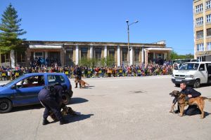 Timisorenii, asteptati la Ziua Portilor Deschise a Inspectoratului de Jandarmi Timis