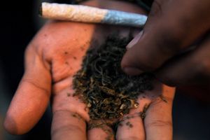 Doi tineri, prinşi cu droguri în zona Gării Satu Mare. Fumau ”iarbă” în maşină