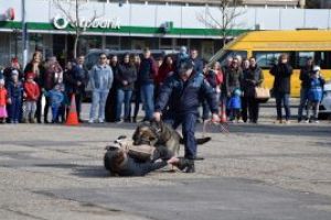 Baia Mare: Copiii au venit sa sarbatoreasca Ziua Politiei Romane