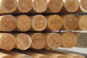 Material lemnos confiscat