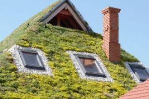 Acoperisurile verzi sunt tot mai populare in Romania