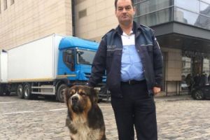 Chestorul demis în scandalul agentului pedofil a fost pus şef la Poliţia Capitalei