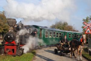 Iepuraşul vine cu mocăniţa la Brad