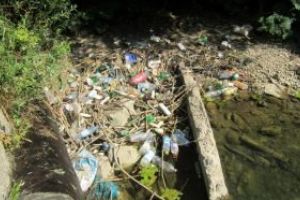 Acţiune de monitorizare şi curăţare a râului Olt