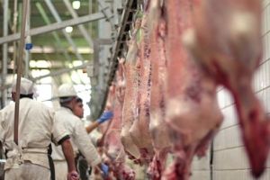 13 spaţii temporare de sacrificare a mieilor, la nivelul judeţului