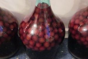 VASLUI. Le-a făcut cinste cu o vişinată şi l-au omorât în bătaie