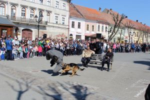 Cum va fi sărbătorită Ziua Jandarmeriei