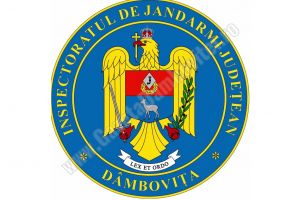 Însemn heraldic propriu pentru IJJ Dâmboviţa. Ce semnifică elementele acestuia