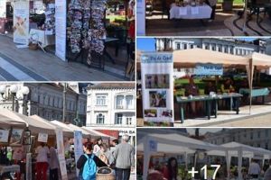 Târgul ONG-urilor, un eveniment de SUCCES al DDAC Arad (GALERIE FOTO)