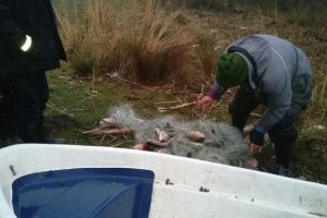 Acţiune pentru combaterea activităţilor ilegale din domeniul piscicol
