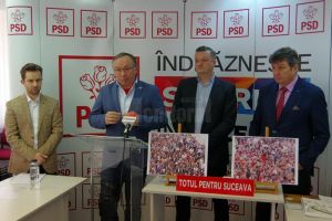 PSD reclamă încadrarea pistei de role, a tribunelor de pe stadion şi a aleilor din parcuri ...