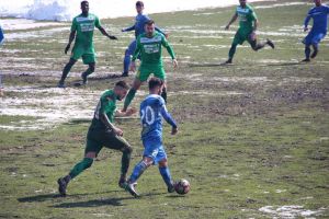 Program dificil pentru Foresta în perioada următoare