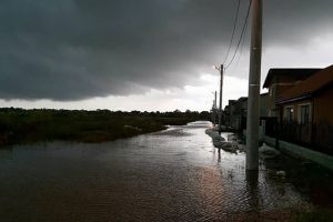 Gradini inundate din cauza topirii zapezilor, la Deta