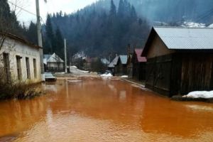 POLUARE cu apă de MINĂ într-o comună din Maramureş. Fenomenul a UCIS toţi peştii din râul Lăpuş! Autorităţile, în ALERTĂ!