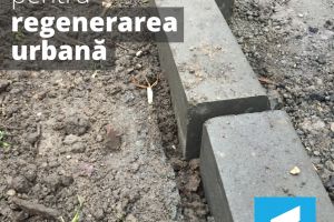 USR Arad îi solicită primarului să spună câte controale s-au efectuat pentru verificarea calităţii proiectului „Regenerare Urbană”