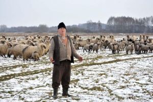 Tăcerea mieilor: Iarna prelungită şi sărbătorile de Paşti ce 