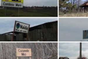 Câţi FRONTIERIŞTI au reuşit să AJUNGĂ în OCCIDENT în ultimele două decenii ale COMUNISMULUI