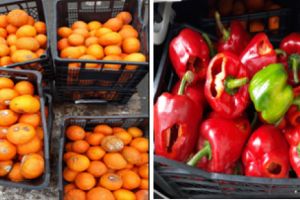 Fructe si legume STRICATE, vandute pe platoul Halelor Ploiesti. Politistii au confiscat marfa si au trimis-o la ZOO Bucov