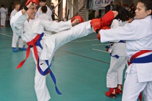 Aproape 200 de sportivi s-au întrecut la Campionatul Naţional ”Cupa României la Karate – Do”, ediţia a IX-a, la Buftea