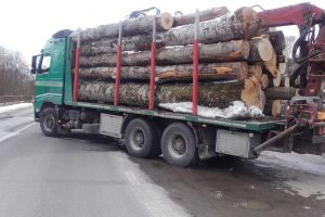 CJ Harghita colaborează cu poliţia pentru prinderea transporturilor ilegale de lemne