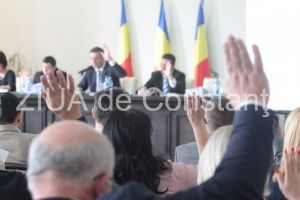 Vot in Consiliul Judetean Constanta pentru amenajarea miniporturilor turistice Ostrov, Capidava, Rasova si Ghindaresti 