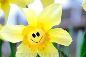 Veşti bune de la meteo. Cum va fi vremea, mâine, 28 martie