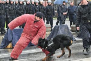 Jandarmii vor face demonstraţii la Piteşti