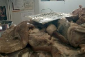 21 lei kilogramul de carne de oaie sau de pastramă