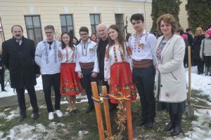 Stejarul “centenar” de la C.N. “Ferdinand I” are un frate mai mic