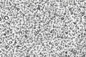 Declaraţia unică va putea fi depusă online. Plicurile cu parole, trimise de ANAF cu Poşta! Parol!