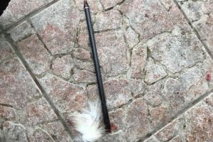 Inca un caz de cruzime impotriva animalelor, la Giroc. Caine ranit grav cu o sageata!