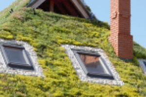 Acoperisurile verzi sunt tot mai populare in Romania