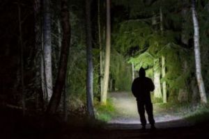 Suedia se CONFRUNTĂ cu cel mai MARE număr de crime şi violuri