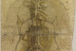 Descoperire REVOLUȚIONARĂ. ORGAN nou depistat de cercetători. Reprezintă ARMURA omului