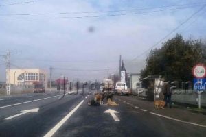 Blocaj inedit pe DN2