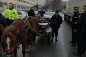 Cluj: Căruţă confiscată pe Bulevardul Muncii, pentru că nu avea ce căuta pe drumurile publice