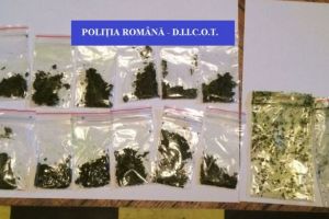 Grup infractional organizat specializat in trafic de droguri de mare risc, destructurat de procurorii DIICOT (galerie foto)