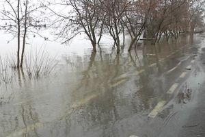 Dunărea, la doar 11 centimetri de cota de inundaţii