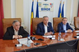 La trei luni după ce au primit finanţarea pentru amenajarea Muzeului, şefii Consiliului Judeţean încă nu ştiu cum vor licita lucrările