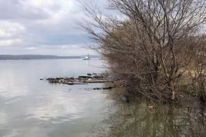 DUNĂREA AMENINȚĂ DOBROGEA. Fluviul înghite drumuri şi terenuri agricole

