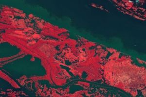 Descoperire INCREDIBILĂ! Ce se află, de fapt, în zonele care se credeau NELOCUITE ale Amazonului? ADEVĂRUL a ieşit la iveală