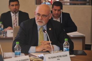 Dezbinaţi întru „Unire”. PNL vrea declaraţii, PSD vrea fapte!